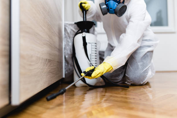 Best Bed Bug Extermination  in Muscoda, WI