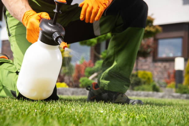 Best Termite Control Services  in Muscoda, WI