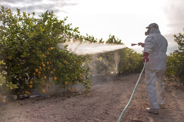 Best Flea Control Services  in Muscoda, WI