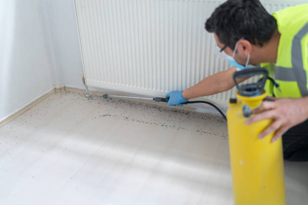 Reliable Muscoda, WI Pest Control Solutions